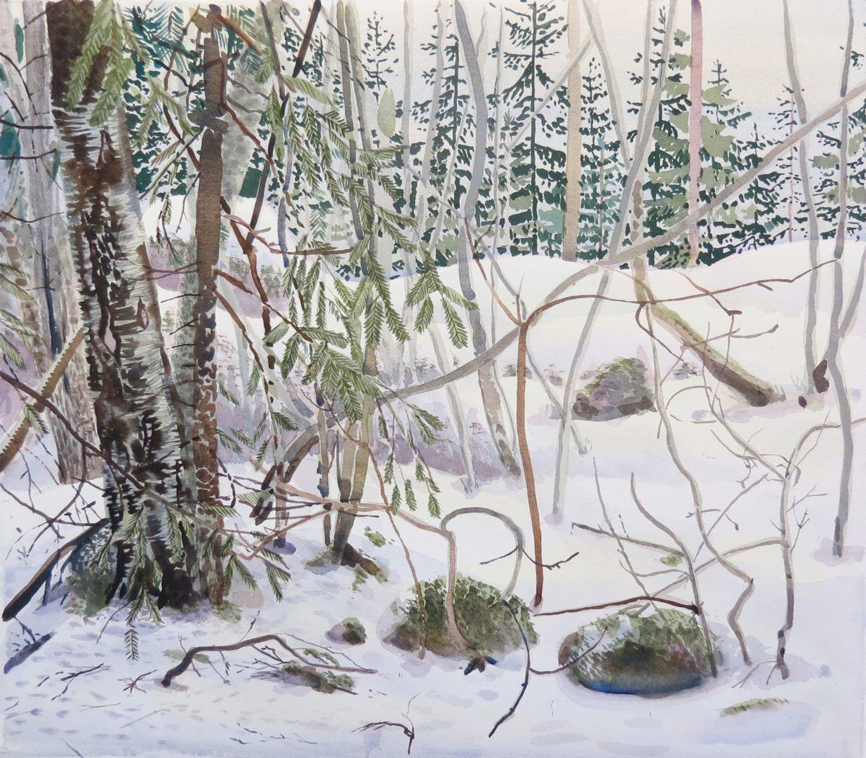 Kuva: Kalle Turakka Purhonen – Märkä lumi (2023), watercolour on paper, 61 x 55 cm